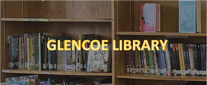Library Shelves